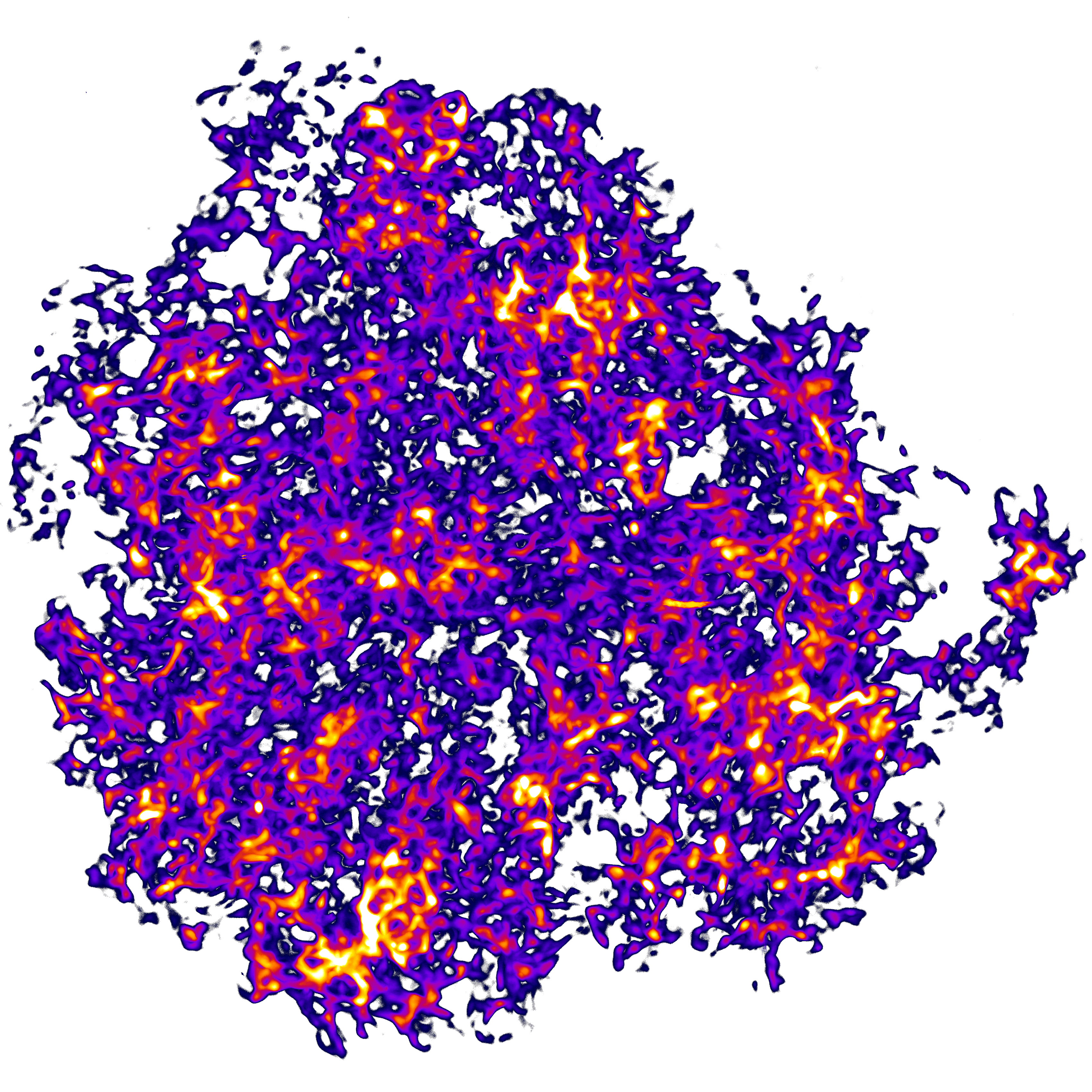 FDC_network3D
