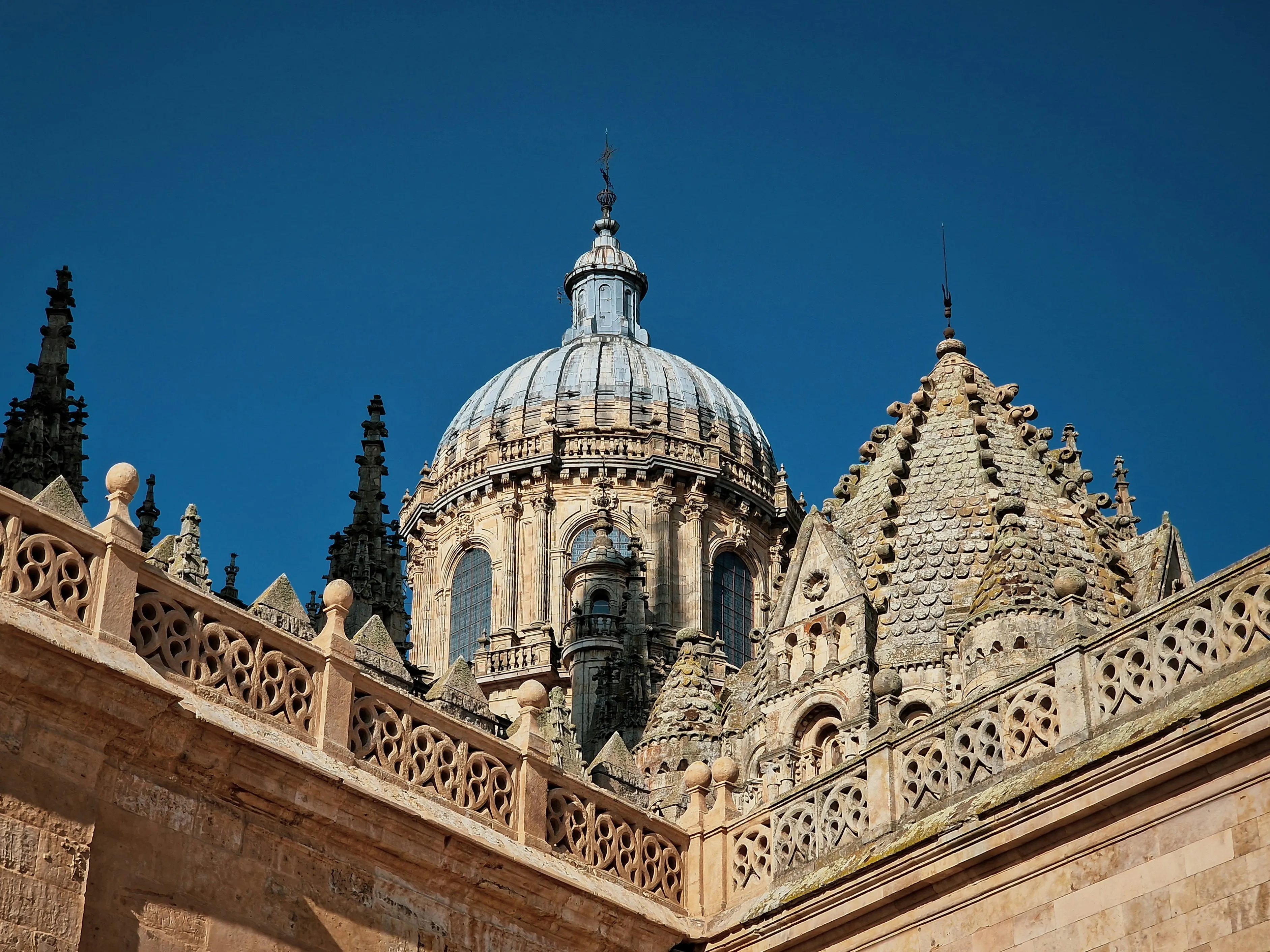 Christian joins the lab – from pain to immunity